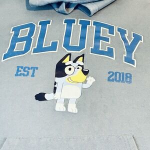 Bluey  Men's XL Hoodie Blue Established 2018